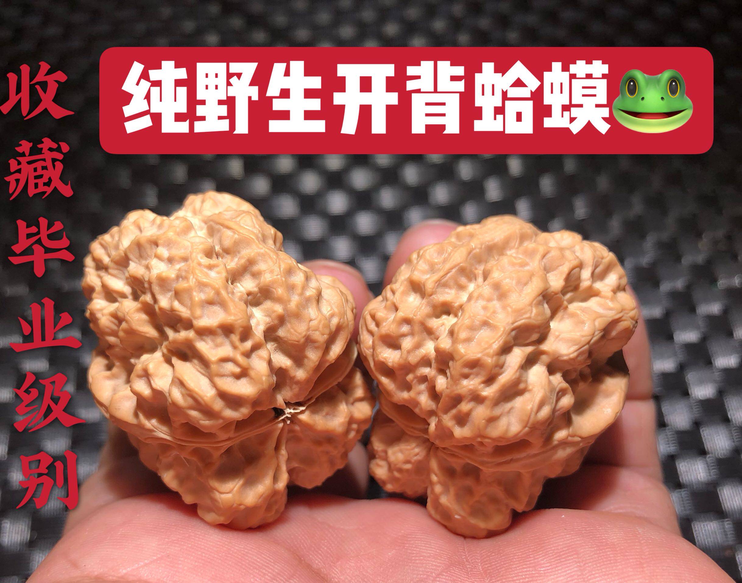 Pure wild Wen play old golden toad toad head iron back sesame walnut stuffy pier southern Xinjiang stone four-floor apple orchard