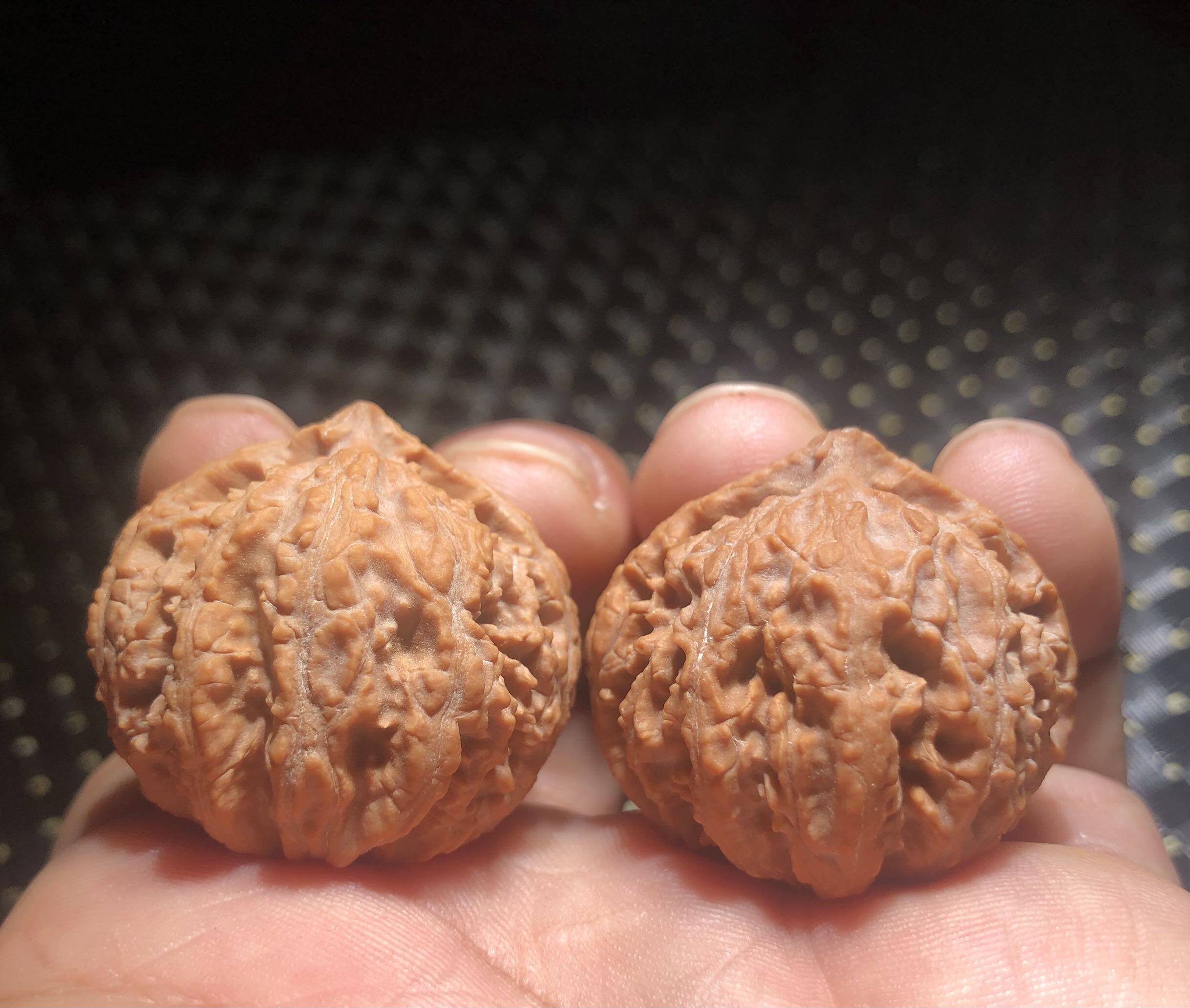 Wenwan walnut pure wild hand twist big thick rib lion head hand piece ladies special official hat short pile four seats