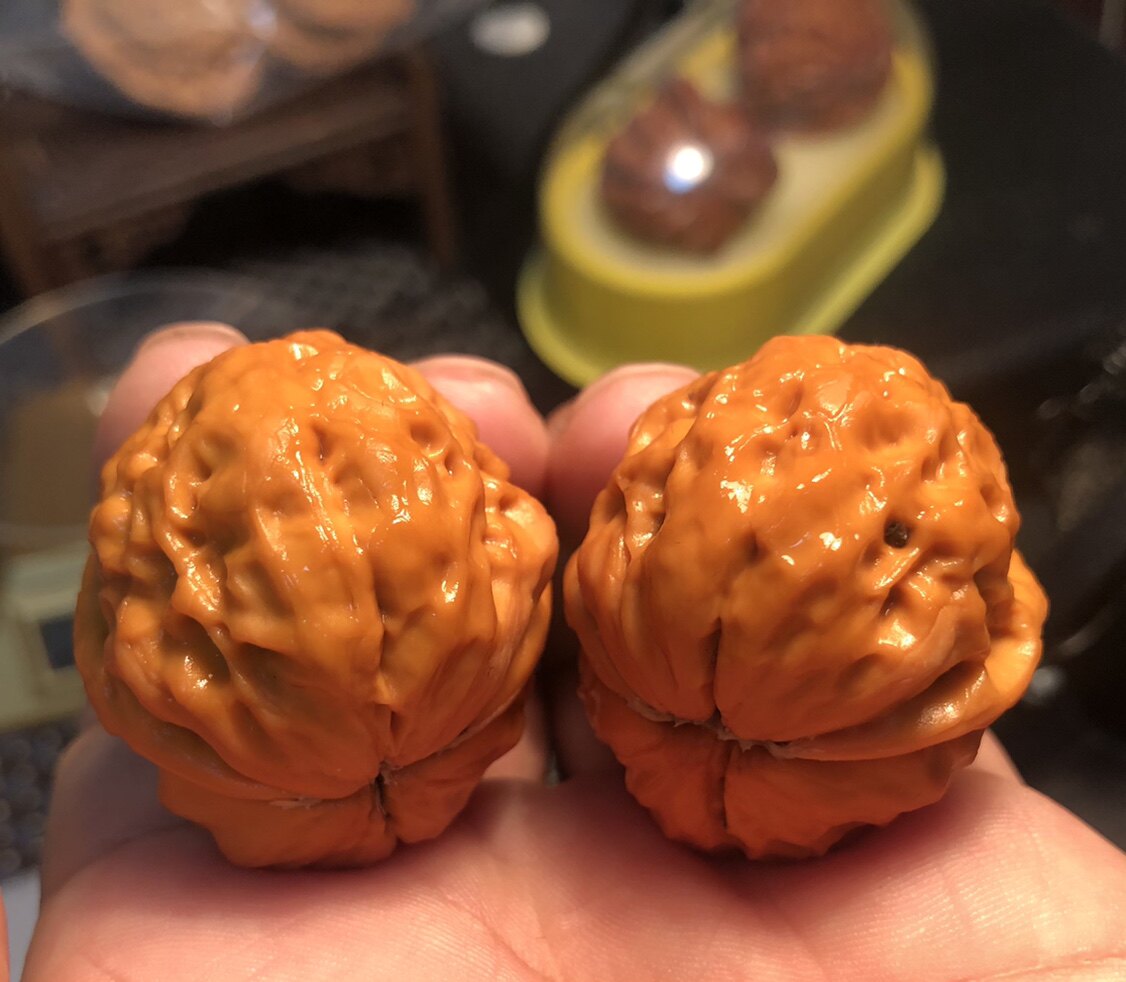 Wenwan iron walnut minority pure wild pimple bag toad head lion head boutique flat-bottomed Pinggu Yuanbao