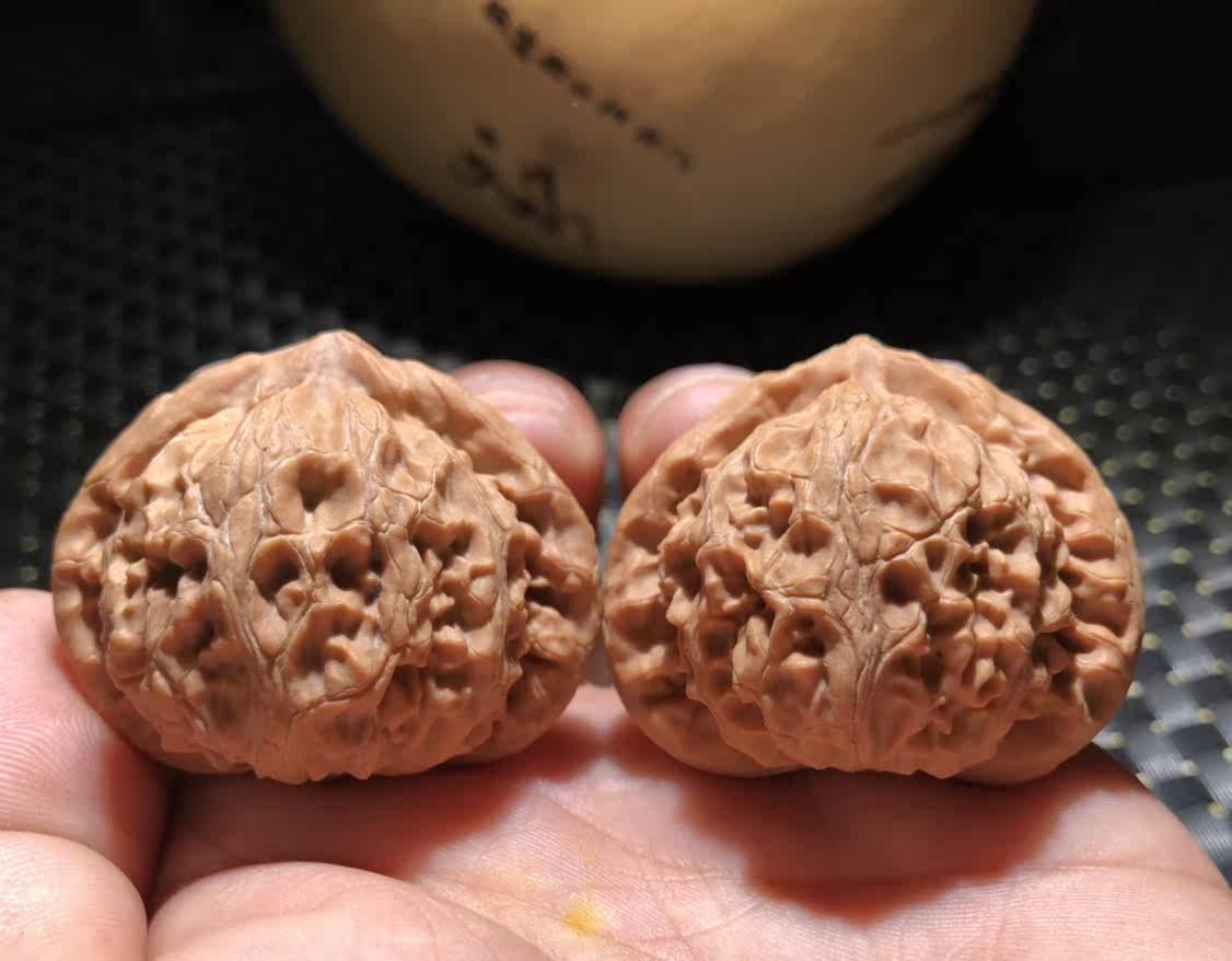 43 size original pint old tree dwarf pile palace lamp lion head peach heart metaphorae head pumpkin mound meteorite guanyin four seats