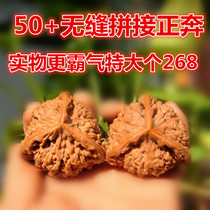 All-new play wild play hemp walnut lion head official hat is running three-sided three-sided old tree 50 Yin Special