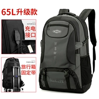 [【灰色65L升级版】送险、质保1年]