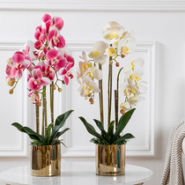 High-grade simulation flower fake flower feel moisturizing Phalaenopsis living room ornaments light luxury Nordic dining table decorative floral coffee table