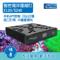Intelligent control ocean coral lamp X120 X240 seawater coral LED aquarium lamp XR15 XR30 G6 G5blue