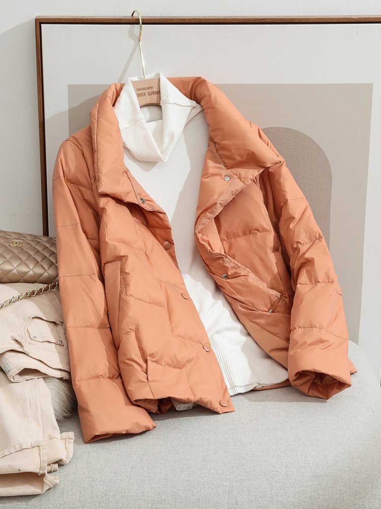 2022 autumn and winter new Korean style fashion thin and light short down jacket for small man with stand collar lightweight jacket