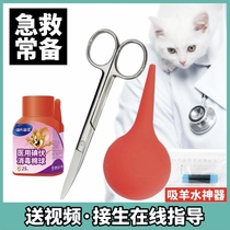 Pet Dog Dog Mothercat Pregnancy Kitty Production Delivery Tools Supplies Complete to be produced Bag Suction Amniotic Water Instrumental Cord Cut