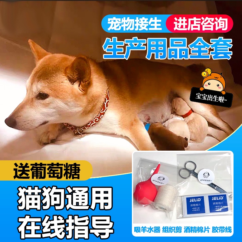 Pet cat dog pregnancy production of birth products for bag suction sheep cord cutting room tool full suite