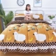 Flannel san hô chăn đơn mảnh đôi nhung ấm giường cộng với nhung dày nhung bao gồm