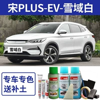 Song Plus-EV-Snow Domain White [Standard Repair]