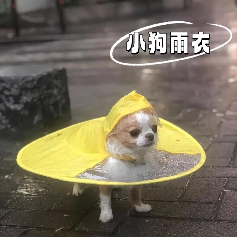 French Lulu Miigo Cat and Dog Raincoat for Small and Medium-Sized Pets, a Rainproof Cape for Walking Dogs on Rainy Days