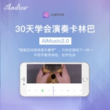 AI Music Academy App Zero Basic Package Society Society Среднее/первичное введение курс 30 дней VIP -обучение