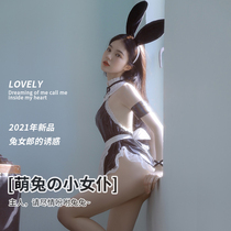Sexy Rabbit Girl Mistress Underwear Uniform Suit Mood Bellies Pure Desire for Sexy Socks and Hot Expose Womens Clothing