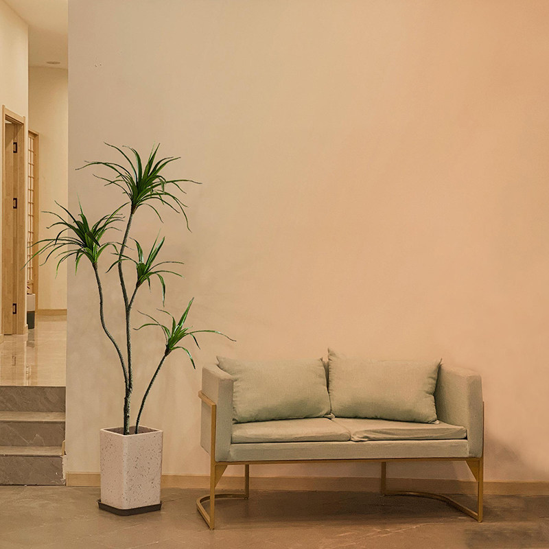 Simulation plant dragon blood tree decoration wabi-sabi wind iron tree home indoor living room large green plants floor-to-ceiling potted ornaments