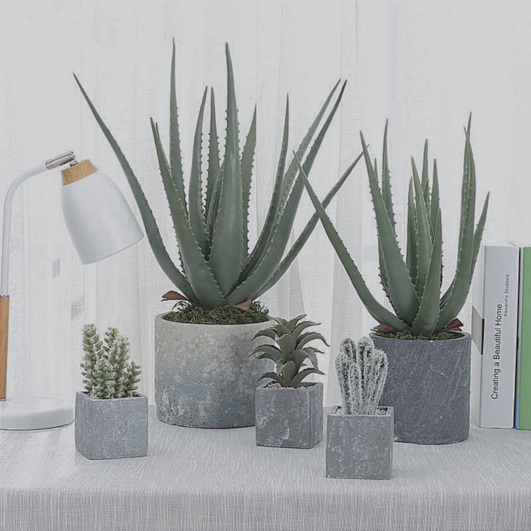 Simulation plant small potted fake flower ornaments Home living room indoor green plant desktop cactus Aloe vera bonsai decoration