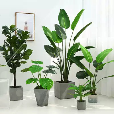 Nordic wind simulation decoration green plant potted plant traveler banana leaf Banyan indoor living room creative Net red plant fake decoration