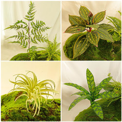 Simulated Green Plant Landscaping Decoration Small Plant Air Pineapple with Soft Decoration Micro Landscape Scandinavian Style Green Plant Decoration