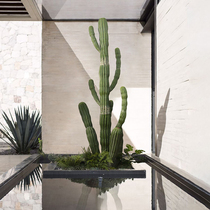 Simulation Green Plant Large Fairy-pillar handheld view room with design decoration Silence Wind Desert Landscape Bionic Plant