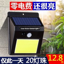 Solar lights outdoor human body induction lights outdoor garden lights wall lights super bright new countryside waterproof led small street lights