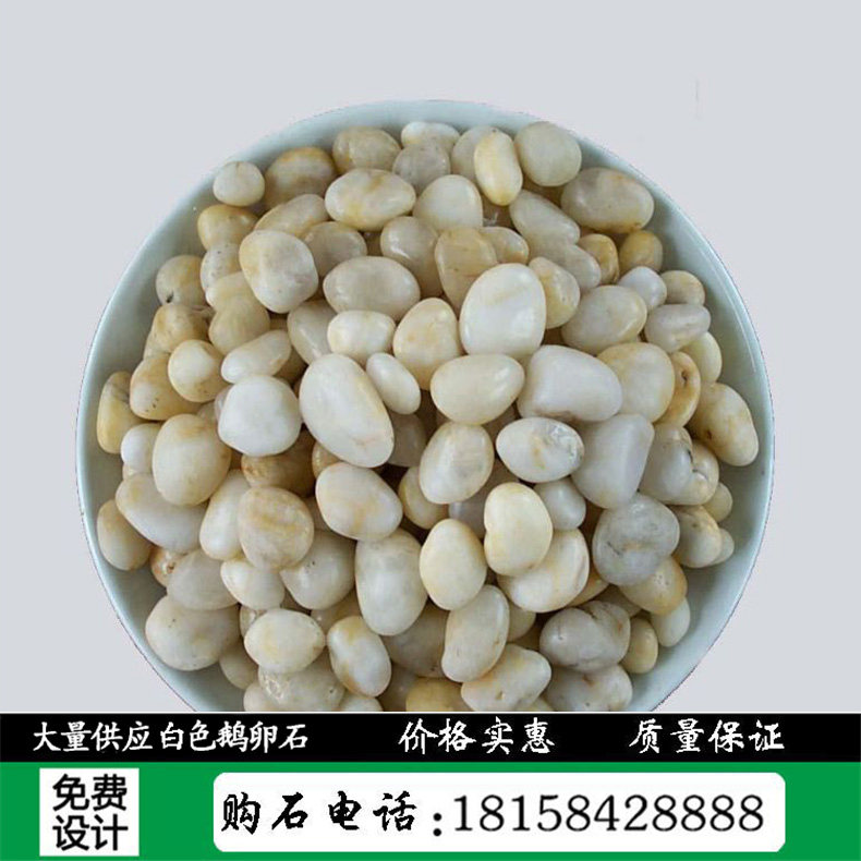 Hangzhou Garden Landscape Natural Stone Natural Pebble Water - stained white pebble paved small stone