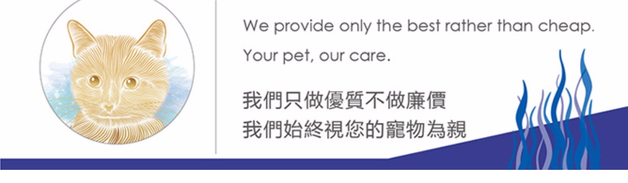 5 túi vận chuyển thương hiệu thức ăn cho mèo Đài Loan mèo thức ăn chính chọn miệng vào thức ăn cho mèo bằng nhôm túi 500g - Gói Singular royal canin cho mèo