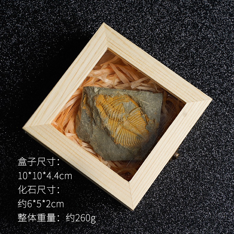 O1CN01ztiNoq1pmcXqMscry_!!2529765403.jpg