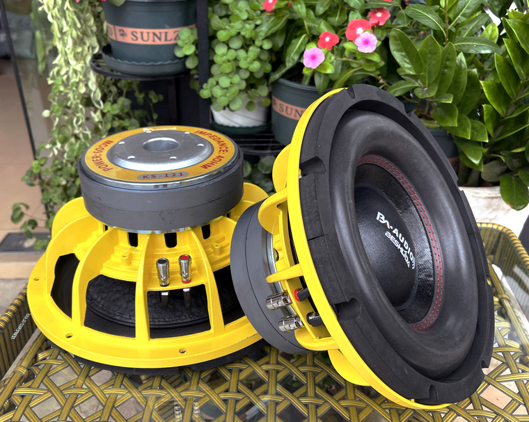 Exit Loaded Double Magnetic Bionic Ring Long Stroke 10 inch 12 inch 15 inch Low tone Bass Horn Overweight Bass Unit