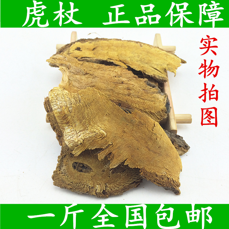 Giant knotweed Chinese herbal medicine quality high quality giant knotweed sheet majestic with giant knotweed bulk 500g