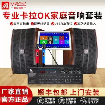 Manlong KT-313 family KTV audio set full set of song machine home karaoke professional speaker