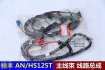 Applicable to motorcycle Neptune HS125T full-vehicle line main cable main wiring harness full-vehicle line