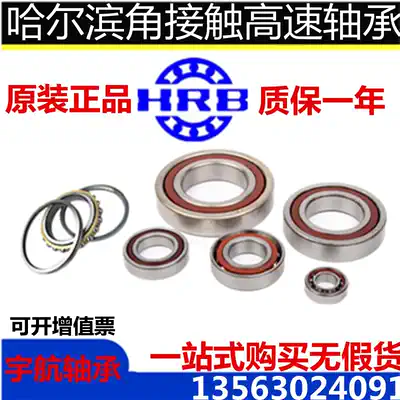 Harbin High speed precision angular contact bearings 7308AC 7309AC 7310AC 7311AC 7312AC