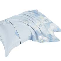 Boyo 60-day silk pillowcase pair with home pillowcase pillow core liner set ice silk 48cmx74cm double