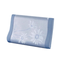 Boyang Summer Mat Pillowcase 800D Ice Silk Latex Jacquard Pillowcase Home Double Latex Pillowcase Pair