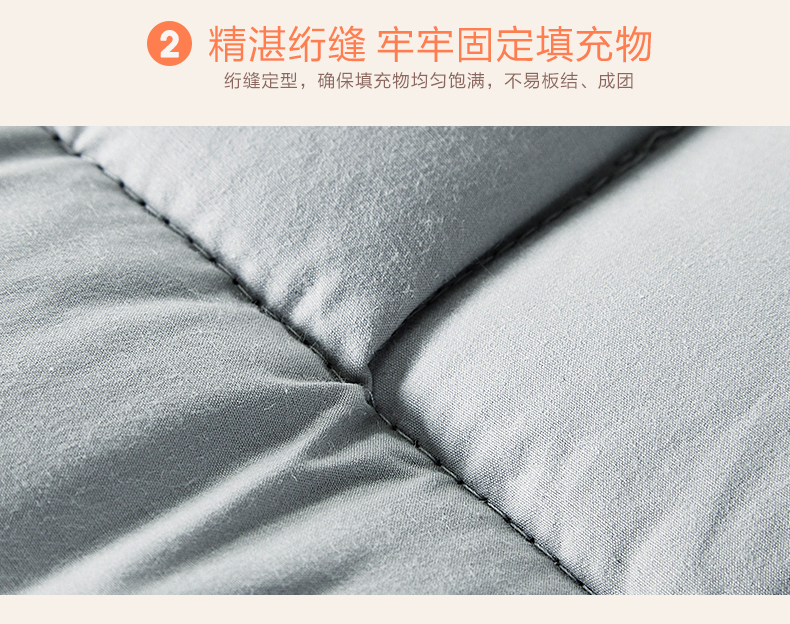 Boyang Home Dệt Bộ đồ giường Khử mùi kháng khuẩn Tre Giường sợi than 床垫 Nệm truy cập mới - Nệm đệm đơn