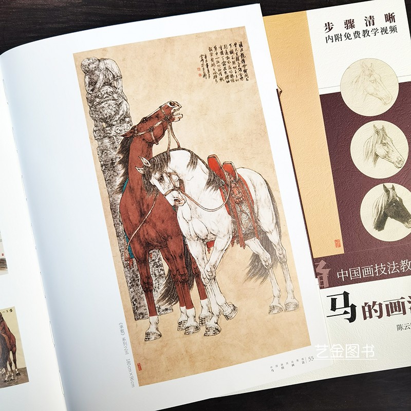 案头必备 马的画法中国画技法教程米恩费视频教学陈云鹏编写意马绘画技法骏马小写意画法教程马上封侯盛世八骏图临摹技法安徽美术