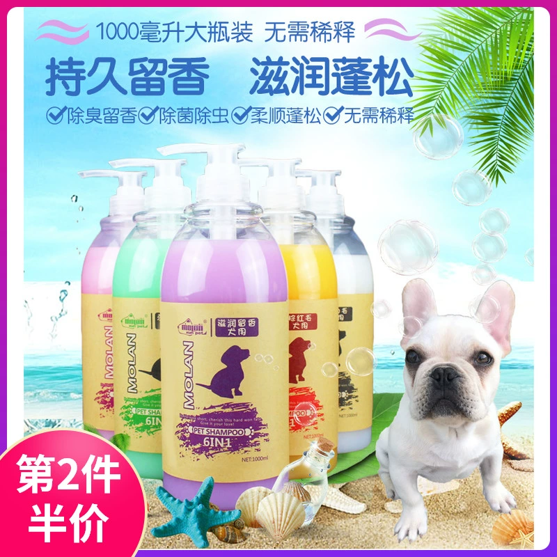 Pet chó tắm sữa tắm Teddy Bomei Samoye dầu gội giết chết mites tiệt trùng dầu gội mèo - Cat / Dog Beauty & Cleaning Supplies