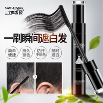 Three magic hair makers Hair coloring sticks New products One-time cover white hair Fast coloring Long-lasting brush head-like hair coloring pen