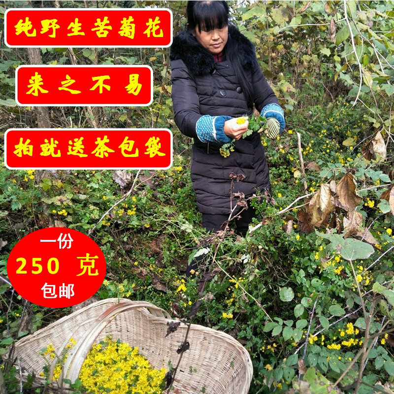 Wild Chrysanthemum Flower Chamomile Chamomile Flower Tea Non-Chamomile Traditional Chinese Herbal Medicine Daisy Shan Chrysanthemum Small Chrysanthemum Bitter Chrysanthemum