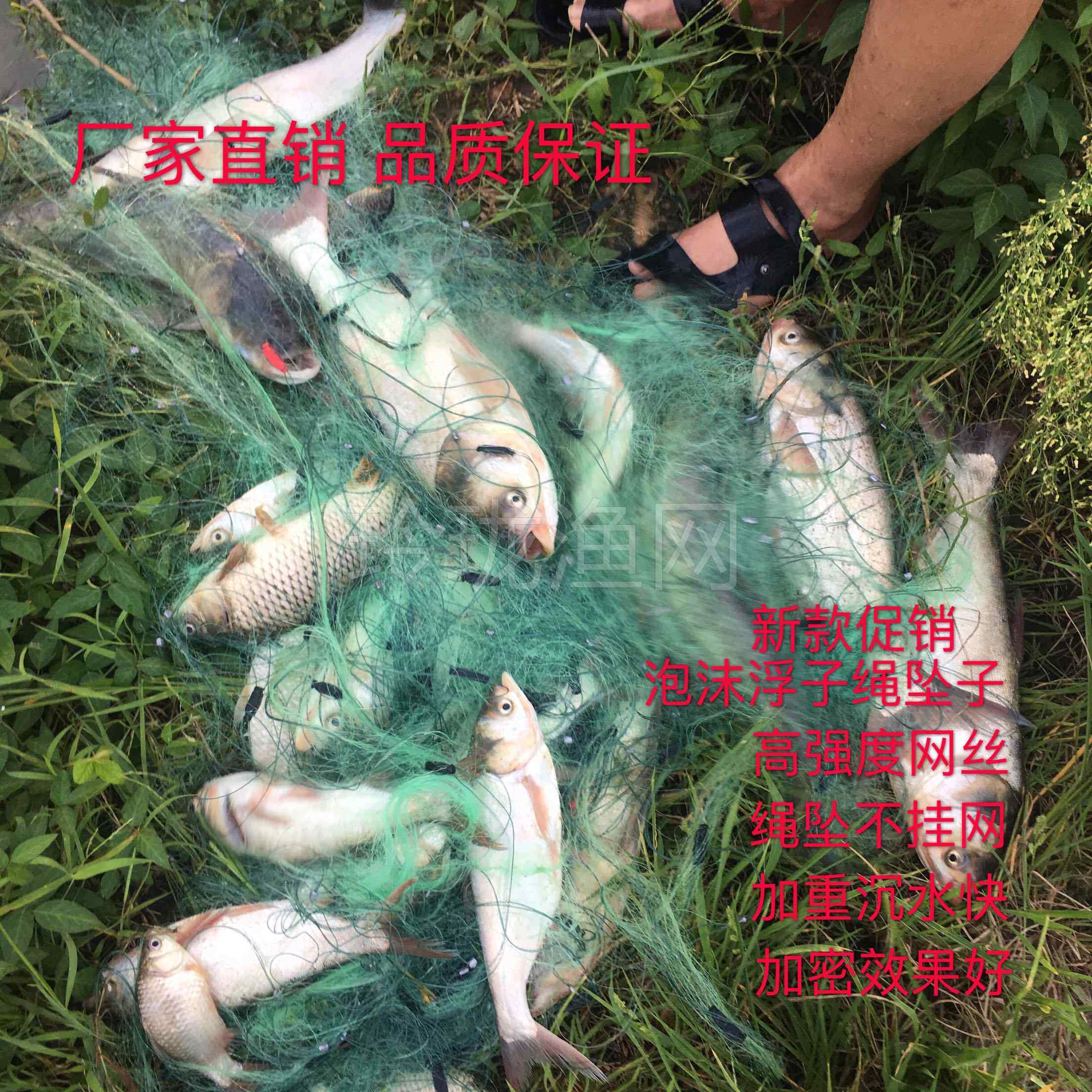 Green silk rope pendant 3 meters 4 meters 5 meters 6 meters high 100 meters long three-layer fishing net fishing net sticky mesh wire mesh hanging net