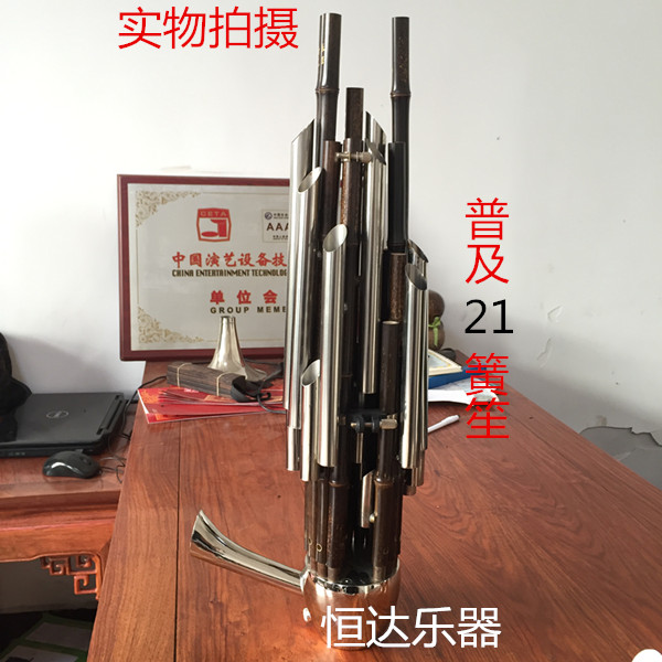 Nhạc cụ cửa hàng nhạc cụ thổi quốc gia 21 24 26 36 lò xo cộng với vòng khuếch đại phím 笙 trẻ em 笙 nhà máy thẳng - Nhạc cụ dân tộc đàn nguyệt cầm