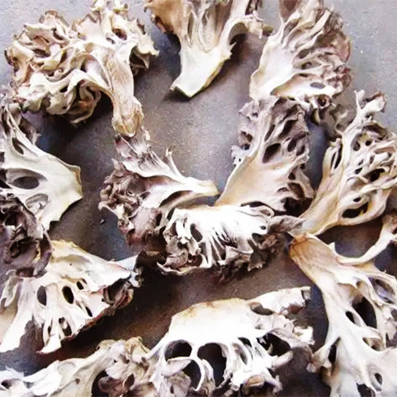 Grifola frondosa dry goods 500g mud-free ash tree mushroom maitake tea chrysanthemum chestnut mushroom Yunnan mushroom specialty