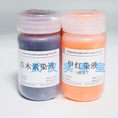 HE 染液套装 苏木素染液 伊红染液G1005 100ml 500ml*2 he染色液