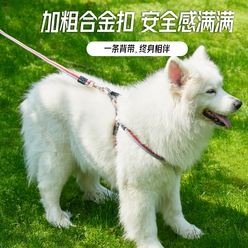 Dog Canvas Harness Vest-Style Collar Leash Harness Dog Leash Vest for Medium-Sized Dogs and Large Dogs