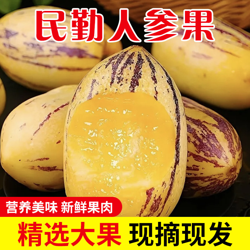 甘肃民勤人参果助农的LOGO