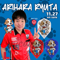 L-Styles Player has the original Dragon Taiver 1 L-Flight PRO L3 Shape small square wing