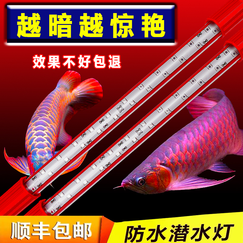 Mayin Shendeng Official official store Brightening Lamp, Special Lamp for Arowana Fish, Aquarium Tri-Color Fish Tank Lamp, Led Waterproof