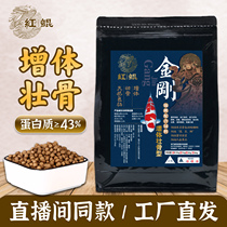 Hongkun King Kong Koi body-increasing feed increases bone-eating fish food large particles high-protein Koi fish feed fattening