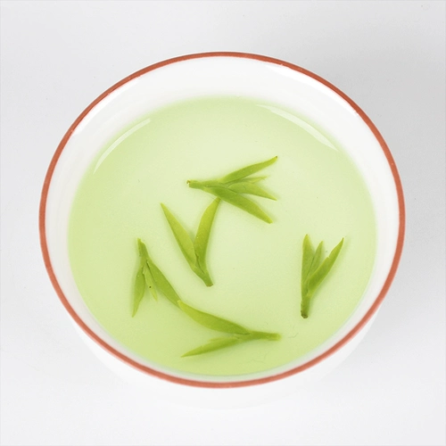 Ganlu 2023 Новый чай Ming Green Tea Tea Miao Miao Руководитель