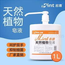 Famous Germany 1000 ml natural plant soap liquid hand sanitizer medical antibacterial baby disinfection press bottle hand sanitizer