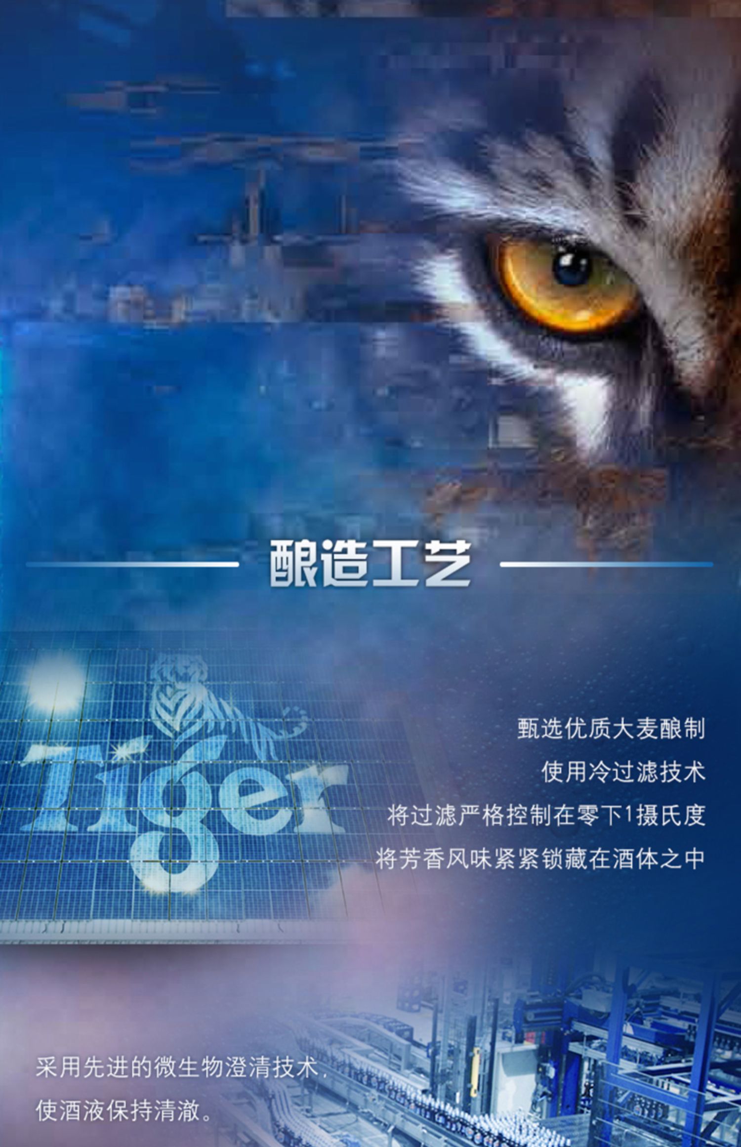 Tiger/虎牌啤酒500ml*12罐