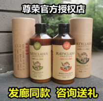 Hongrong side leaf shampoo oil control fluffy anti-hair growth strong root postpartum hair loss anti-dandruff anti-itching dandruff